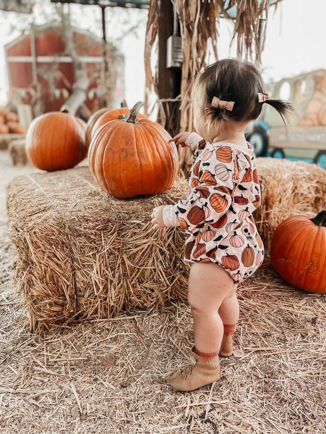 10 Easy and Healthy Fall Recipes for Babies and Toddlers - HARTS Bootees